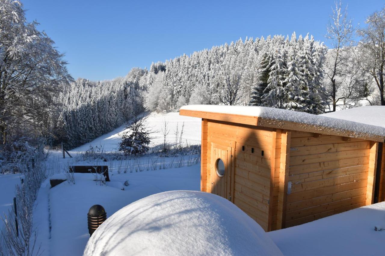 Asten-Chalets Winterberg Exterior foto